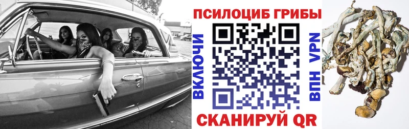 Купить где  Чегем  Галлюциногенные грибы мицелий 